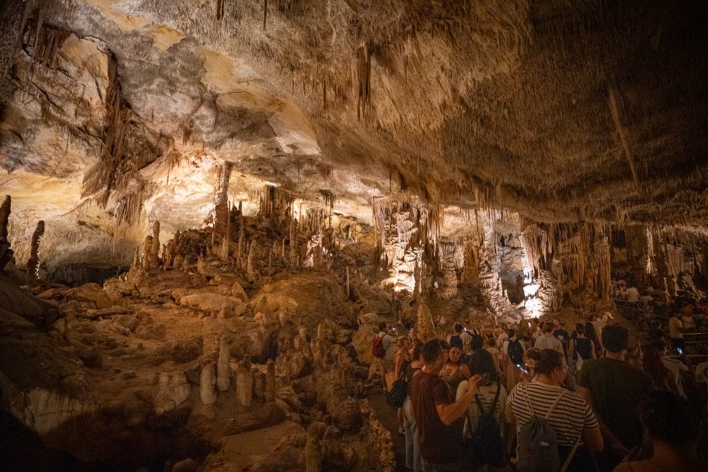 Coves del Drach