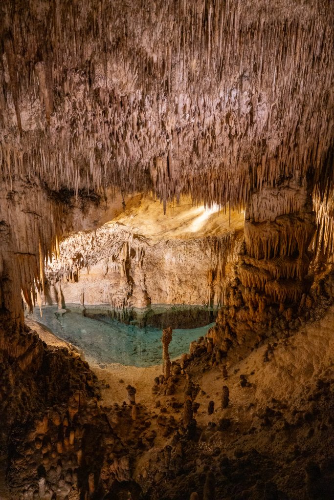 Coves del Drach