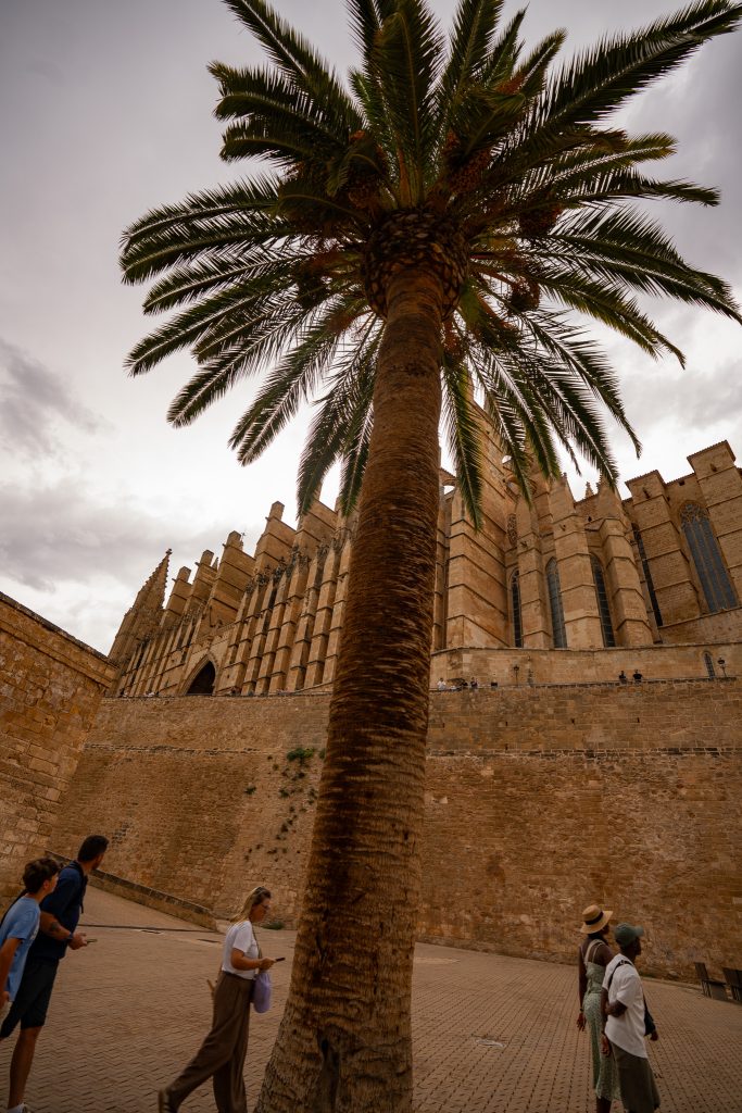 Visite de la vieille ville et de la cathédrale