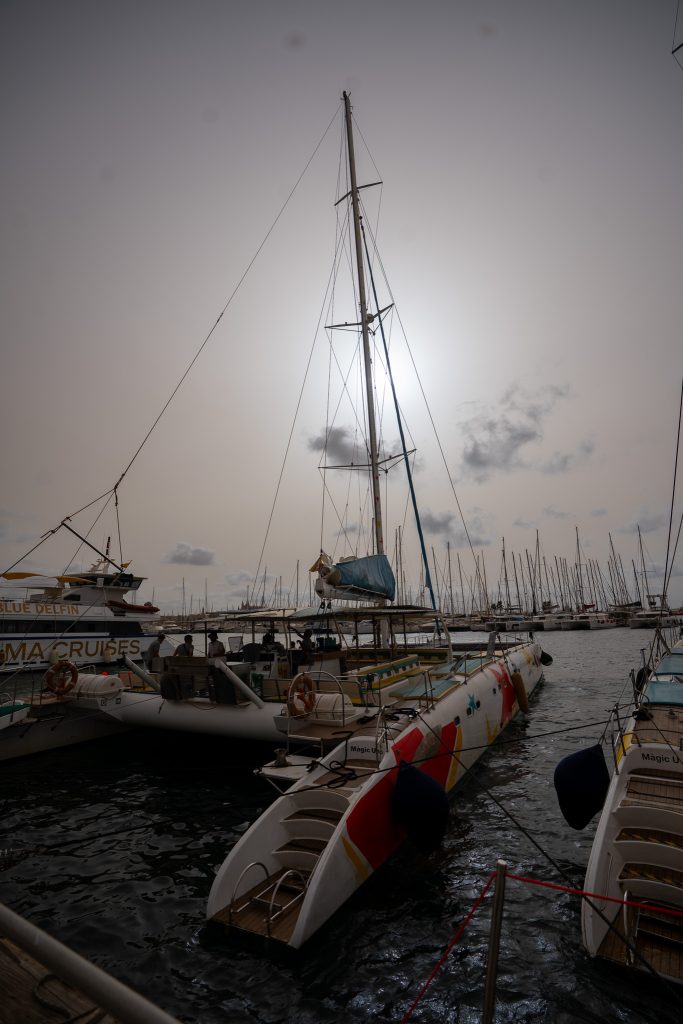 Croisière en catamaran 3,5h
