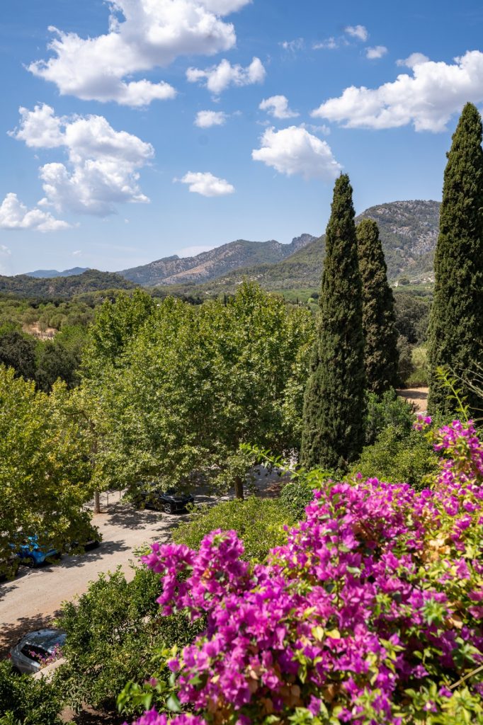 Coves de Campanet